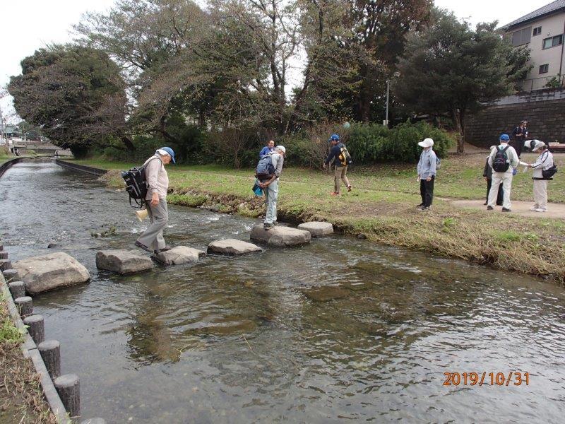 新河岸川観察会_d0254793_17022585.jpg