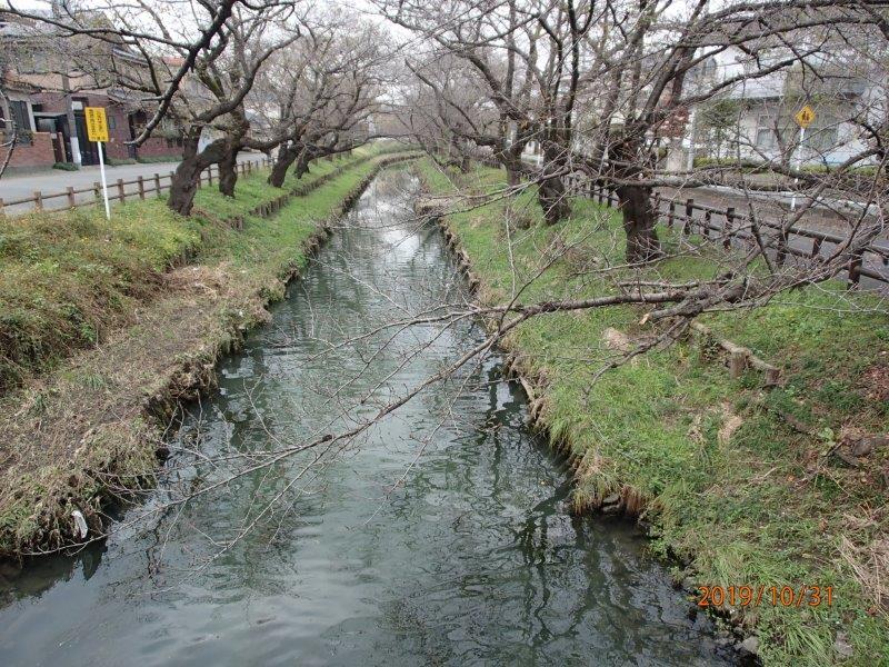 新河岸川観察会_d0254793_17025325.jpg