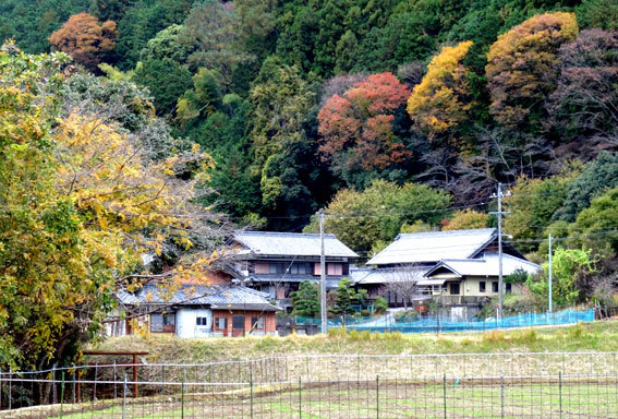 スロー紅葉の榊原温泉_b0145296_13030561.jpg