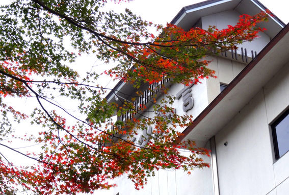 スロー紅葉の榊原温泉_b0145296_13030795.jpg