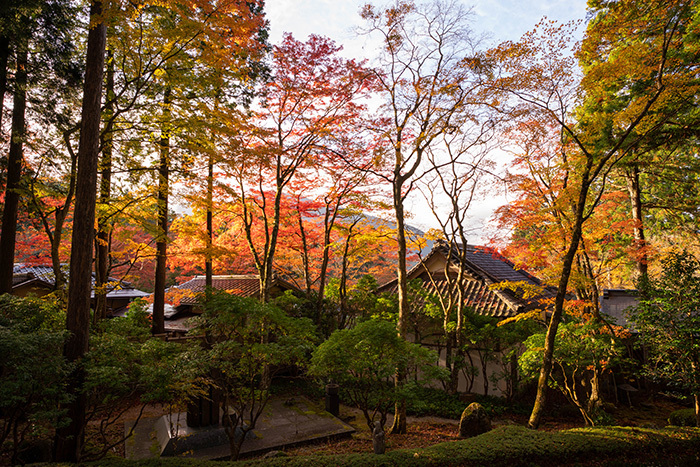箱根長安寺の紅葉2019 エーデルワイスブログ 箱根長安寺の紅葉2019 エーデルワイスブログ