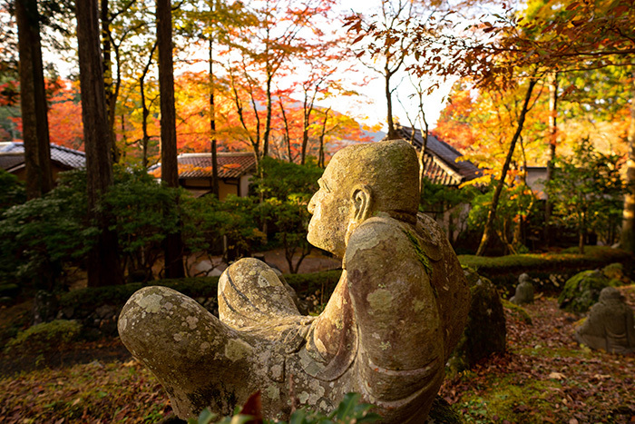 箱根長安寺の紅葉2019 エーデルワイスブログ 箱根長安寺の紅葉2019 エーデルワイスブログ