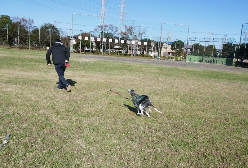 久しぶりの青空＆お日様　　１１月２９日　[金]_e0018604_13472689.jpg