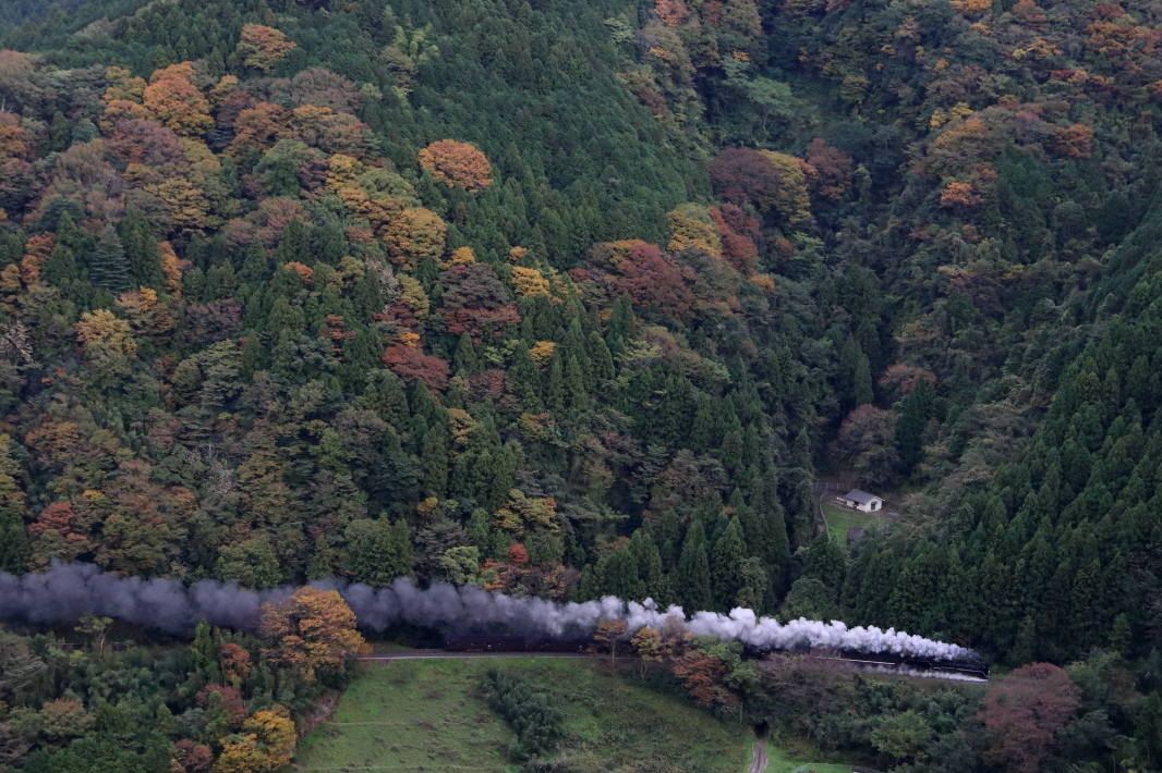 ぽつんと一軒家 - 2019年紅葉・山口線 -_b0190710_21151676.jpg