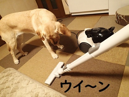 嬉しい出会いにホッコリ。_c0182012_11300909.jpg