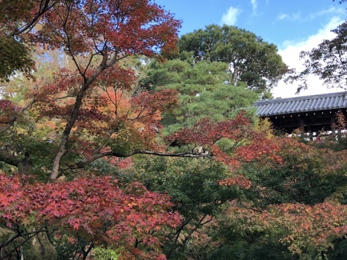 101歳_d0184114_20361763.jpeg