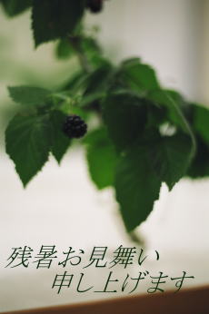 残暑_a0392423_01124070.jpg