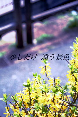 大人の女性への憧れ_a0392423_01574281.jpg