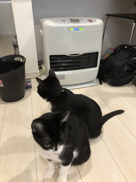 風が冷たい९(།︵།)و_d0233224_21574900.jpeg