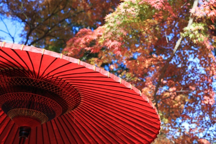 大平山の紅葉・・・(4226)_e0349324_19080316.jpg