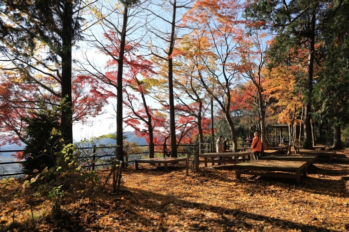 大平山の紅葉・・・(4226)_e0349324_19174189.jpg