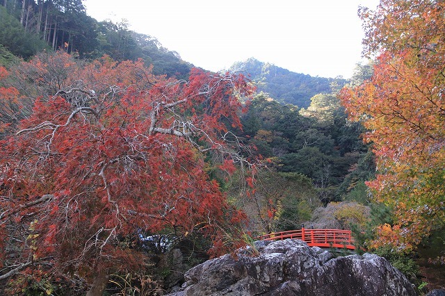 笠木渓谷の紅葉（その4）最終回（撮影：11月20日）_e0321325_19312856.jpg