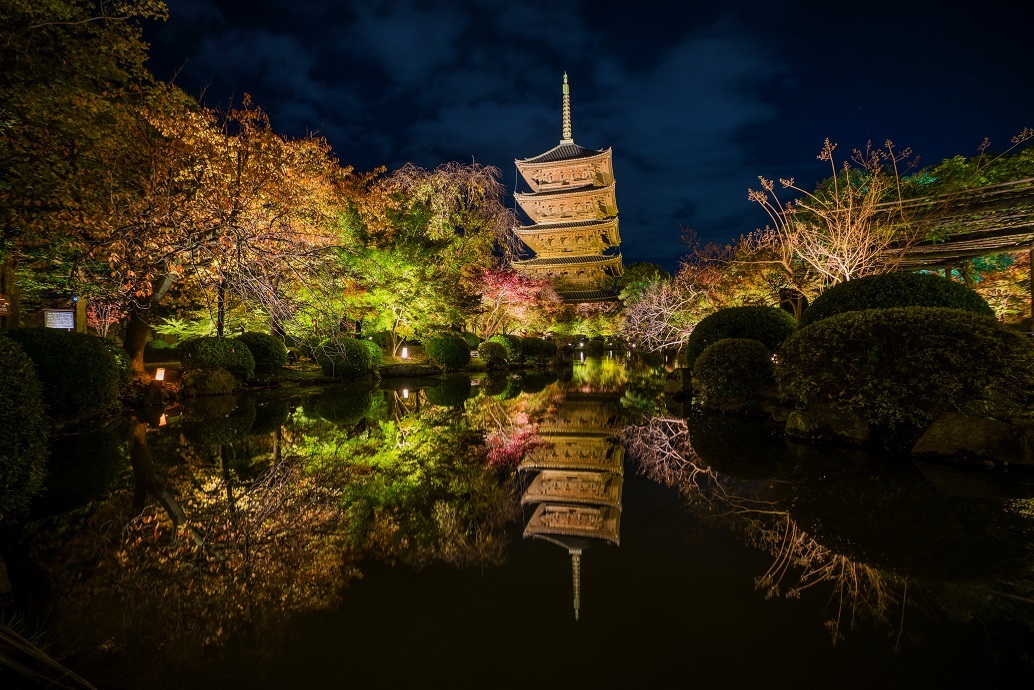 19京都紅葉 東寺ライトアップ 鏡花水月 19京都紅葉 東寺ライトアップ 鏡花水月