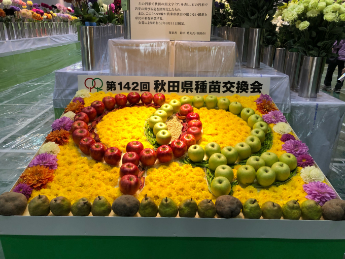 そろそろ雪です_b0093660_11251374.jpg
