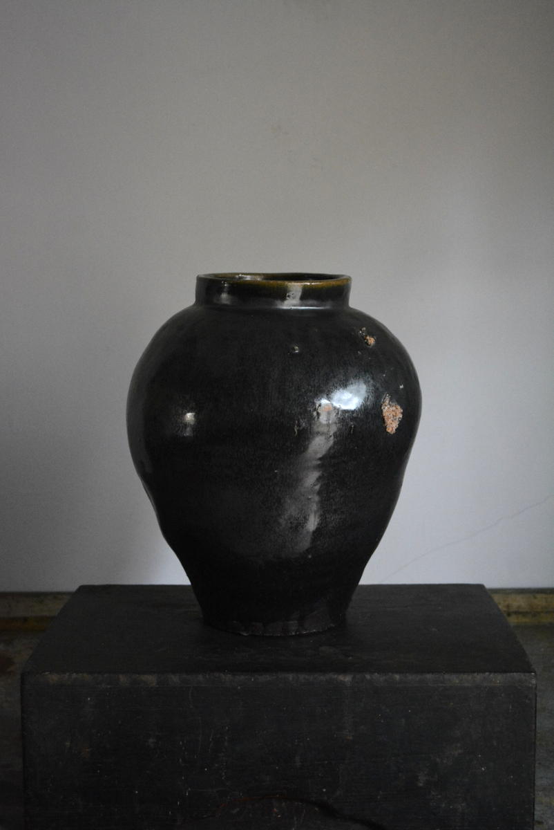 「タナカシゲオ展 明日香の里から」7日目_d0087761_11395150.jpg