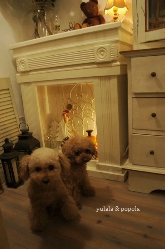 2019 un peuのクリスマス_a0121966_21034097.jpg