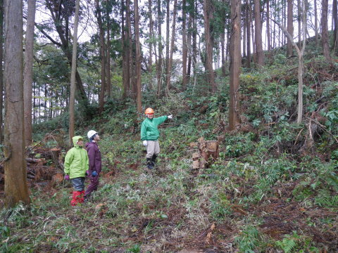 倒木ヒノキの利用可能性確認11・28六国見山手入れ_c0014967_19361884.jpg