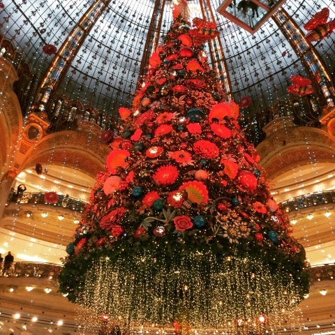 11月29日  パリのクリスマスの飾りつけをご覧ください！_c0134071_13251555.jpeg