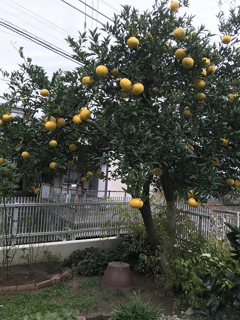 秋模様_b0214473_13492500.jpg
