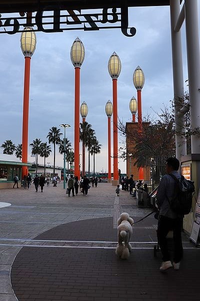 ジャズドリーム長島へ。【旅行10】_b0111376_16373529.jpg