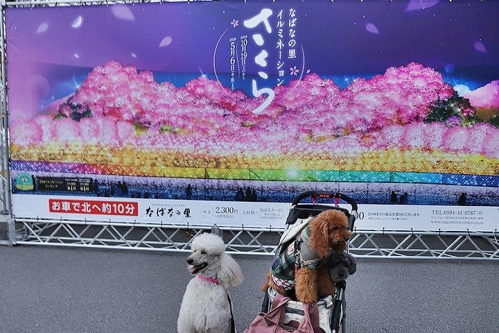 ジャズドリーム長島へ。【旅行10】_b0111376_16395998.jpg