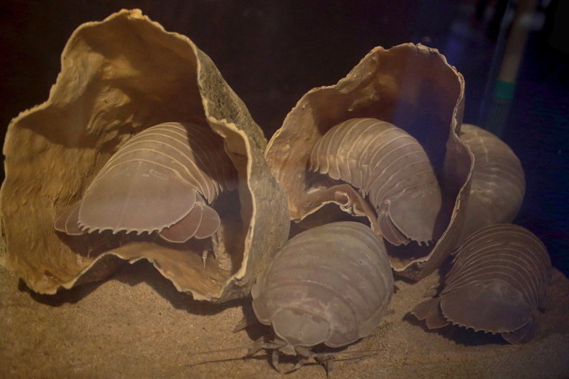 c0196076_15355469.jpg