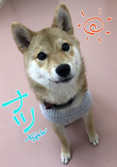 トレーニングブログ_f0357682_10253783.png