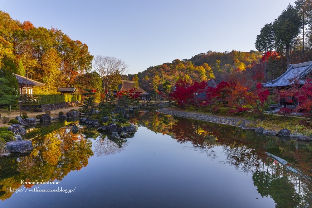 地元の紅葉_d0148187_20451767.jpg