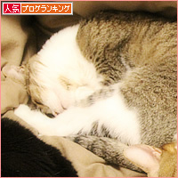 この関係って・・・_a0389088_03154638.jpg