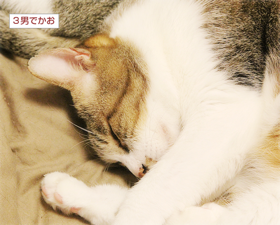 この関係って・・・_a0389088_03154654.jpg