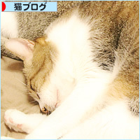 この関係って・・・_a0389088_03154657.jpg