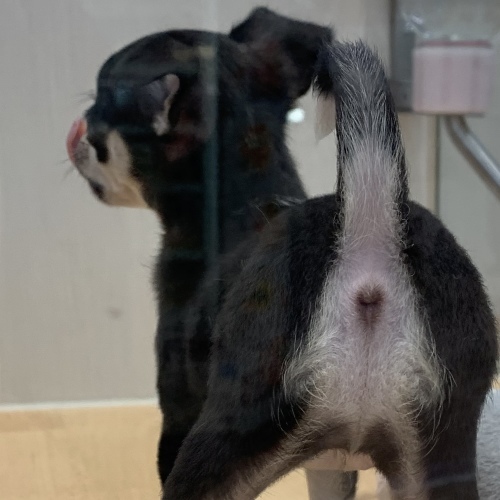 わたしはここにいます 今日も朝からソワソワです_a0134394_08491633.jpeg