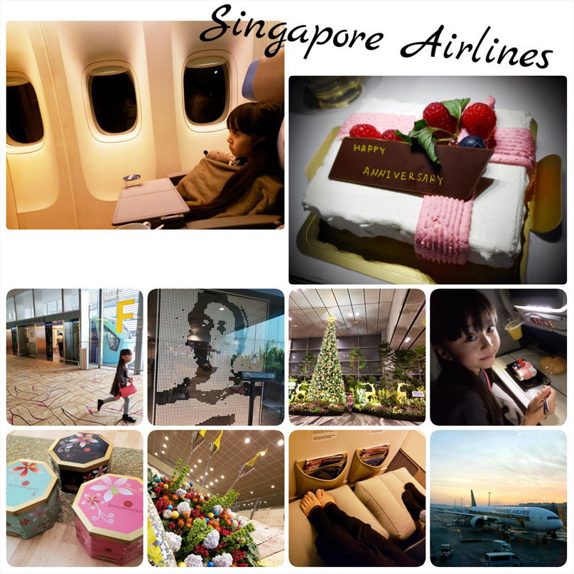 シンガポール航空とチャンギ国際空港(行き/帰り)_d0224894_10510817.jpg