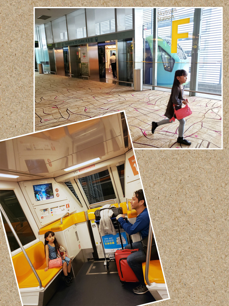 シンガポール航空とチャンギ国際空港(行き/帰り)_d0224894_16260237.jpg