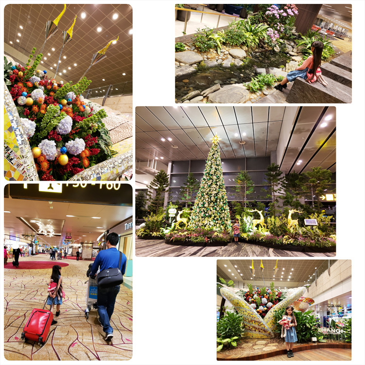 シンガポール航空とチャンギ国際空港(行き/帰り)_d0224894_17243989.jpg