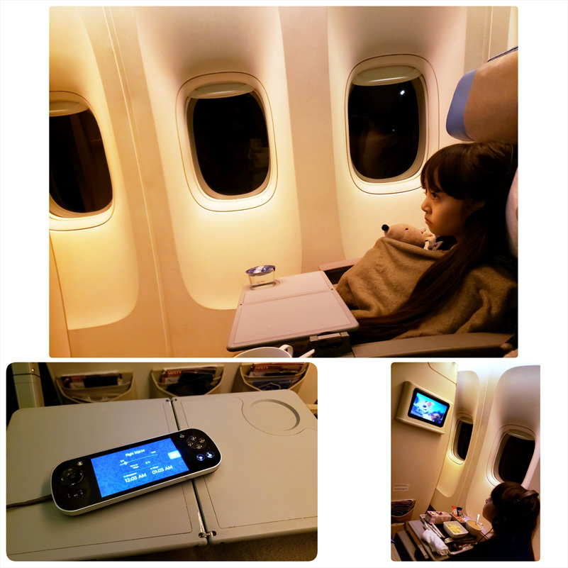 シンガポール航空とチャンギ国際空港(行き/帰り)_d0224894_17323256.jpg