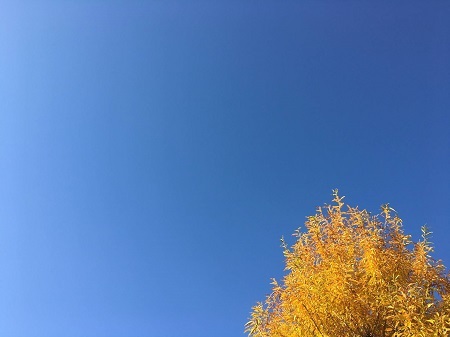 今日はnurinuriデー♪_f0372998_19522127.jpg