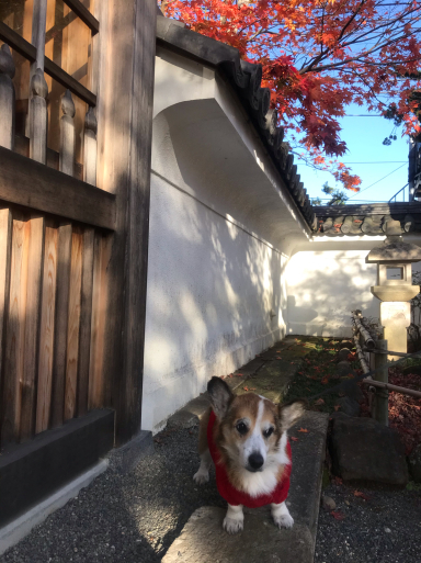 修禅寺でお散歩_f0101201_18051878.jpg