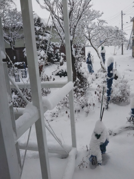 根雪とストーブ、焼きそばに猫_f0316507_16103707.jpg