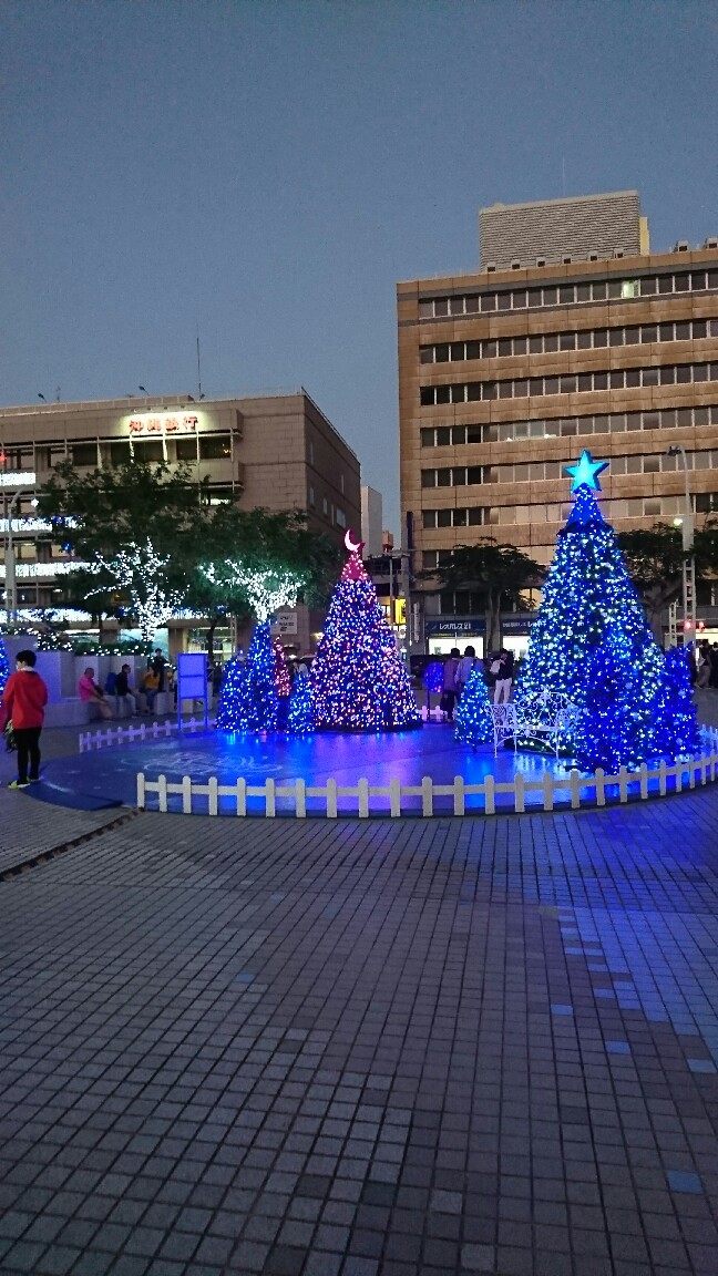 早、12月_d0319812_17585893.jpg