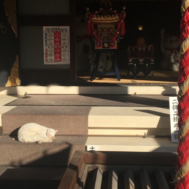 今戸神社の猫様_f0306414_12500479.jpeg