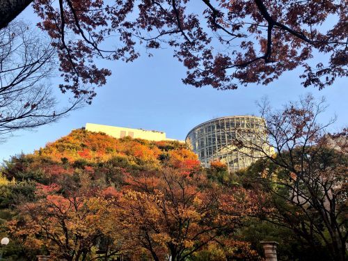 天神で山登り_a0315918_22575250.jpg