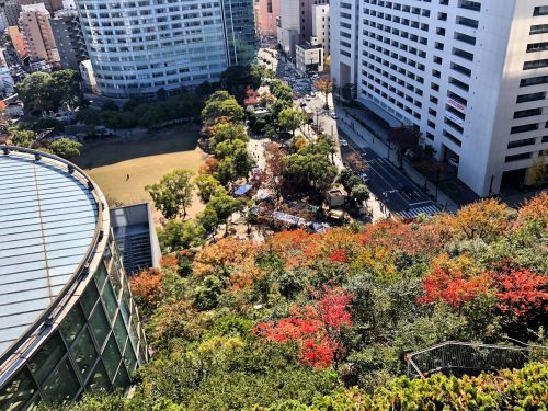 天神で山登り_a0315918_22580419.jpg