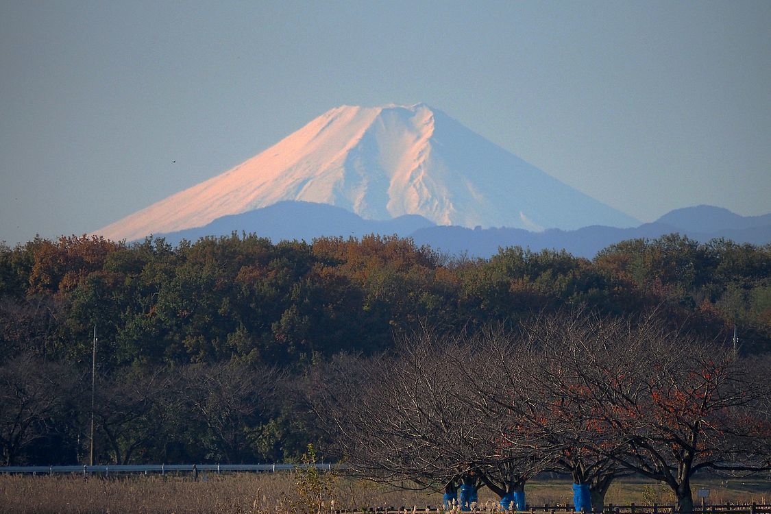 絶景！今日の富士山　2019.11.30多々良沼より_a0031821_14150858.jpg