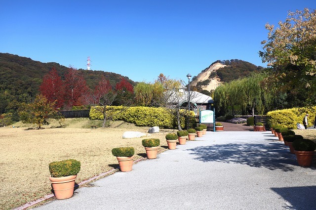 深山イギリス庭園 11月16日 夢民谷住人の日記4