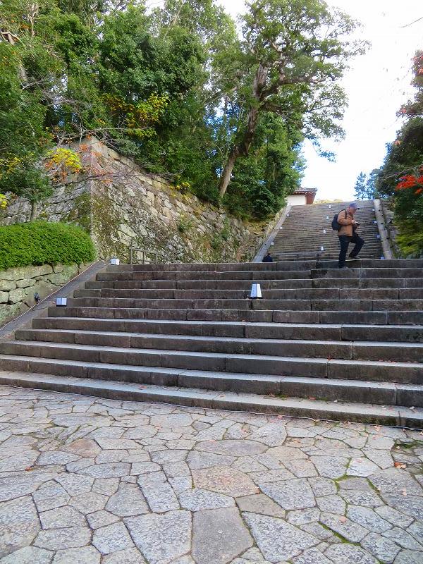 知恩院「境内の紅葉」20191129_e0237645_11184709.jpg