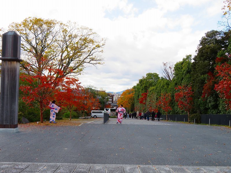 知恩院「境内の紅葉」20191129_e0237645_11184785.jpg