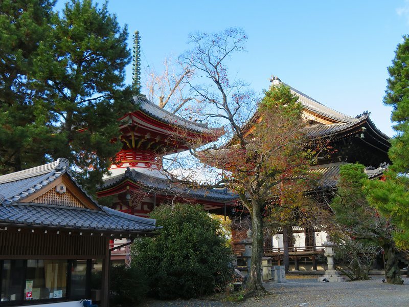 知恩院「境内の紅葉」20191129_e0237645_11194851.jpg
