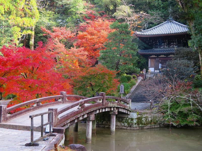 知恩院「境内の紅葉」20191129_e0237645_11194867.jpg