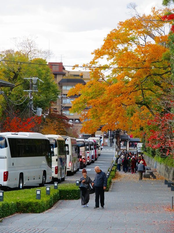 知恩院「境内の紅葉」20191129_e0237645_11194955.jpg